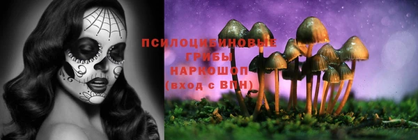 2c-b Костерёво