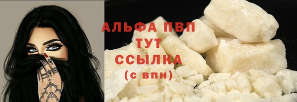 сатива Корсаков