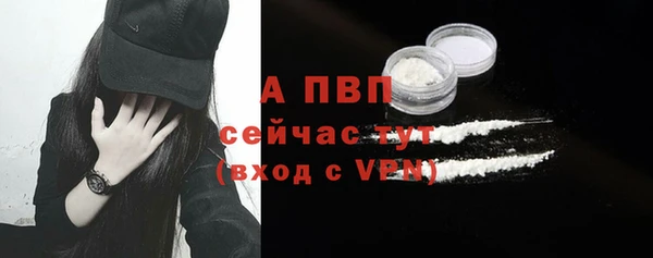 сатива Корсаков