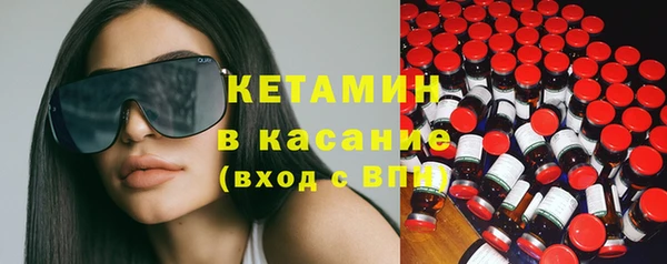 сатива Корсаков