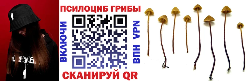 Галлюциногенные грибы ЛСД  Купить  Болотное 